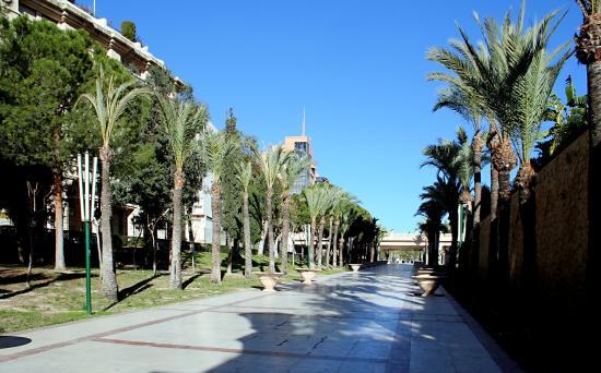 Parque de la Aigüera